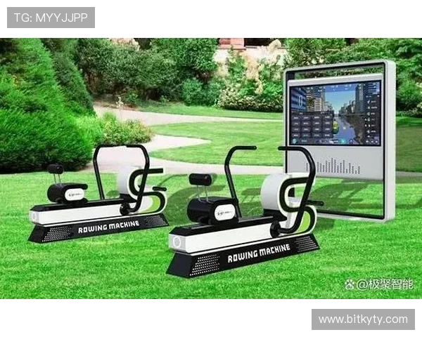 伟德体育：全面解析其平台优势与用户体验提升策略